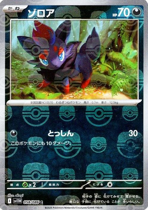 Japanese White Flare Zorua [Master-Ball] Pokémon card